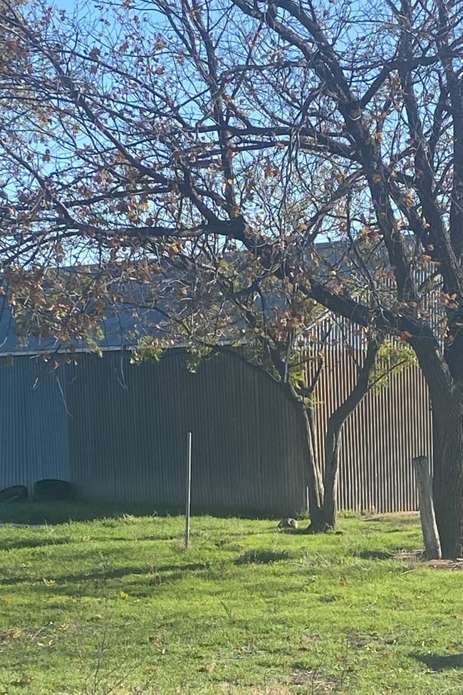 303 Bob Irvin Road Yoogali NSW 2680