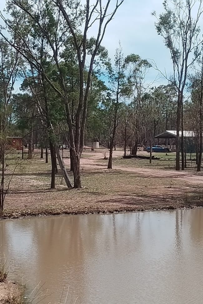 87 Emu Parade Tara QLD 4421