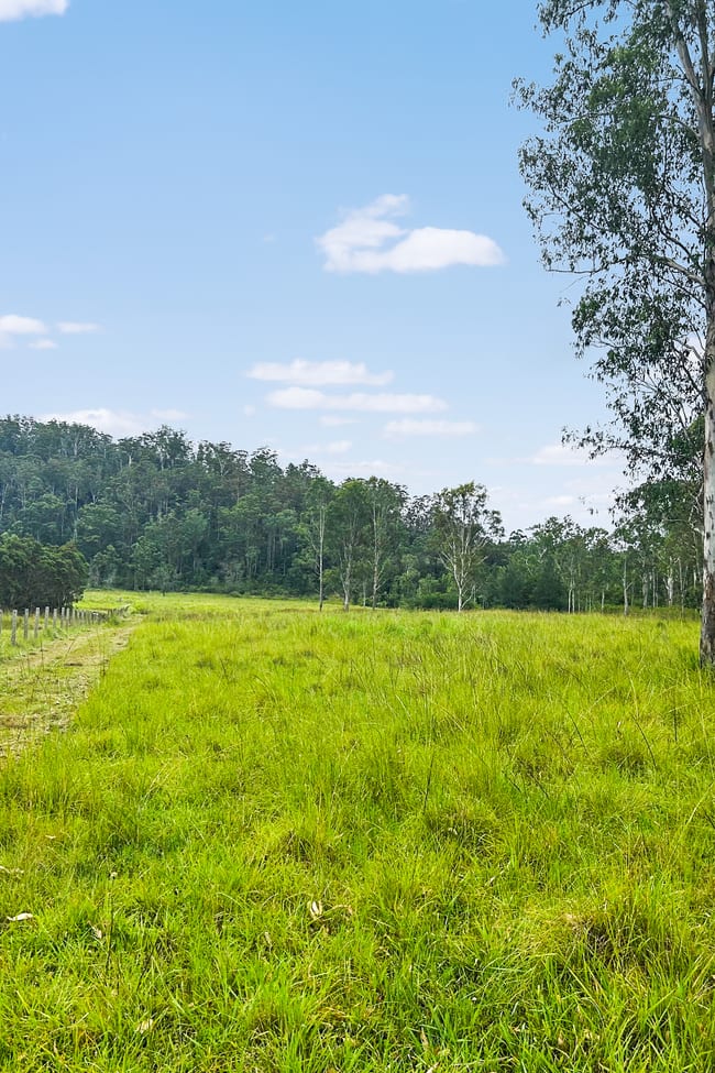 Lot 12 Busbys Flat Road Busbys Flat NSW 2469