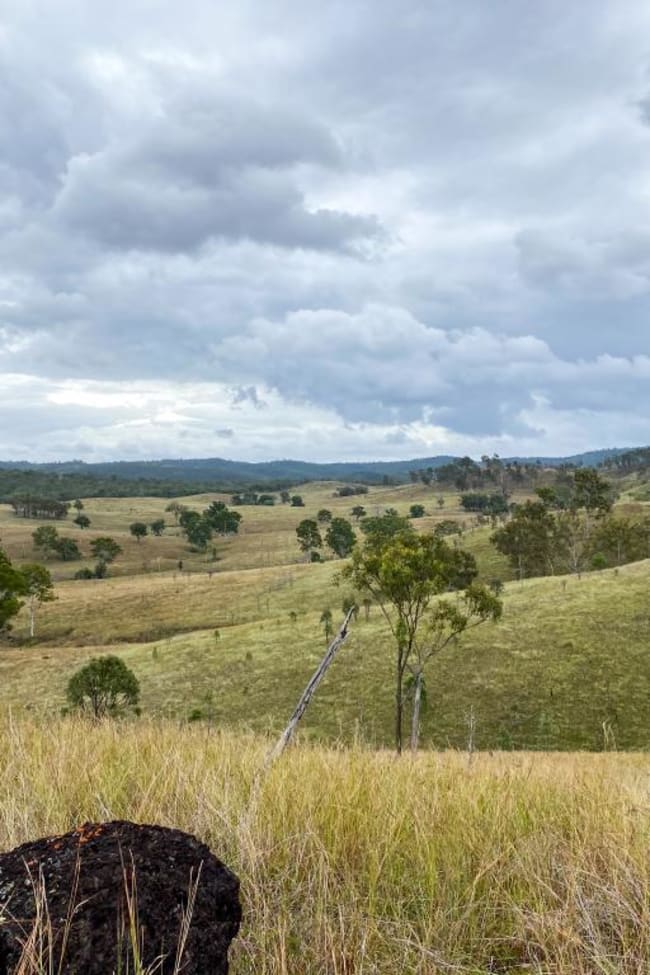 59 MUNGY ROAD Mungy QLD 4671