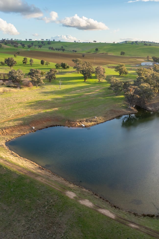 1507 Pine Mount Road Woodstock NSW 2793