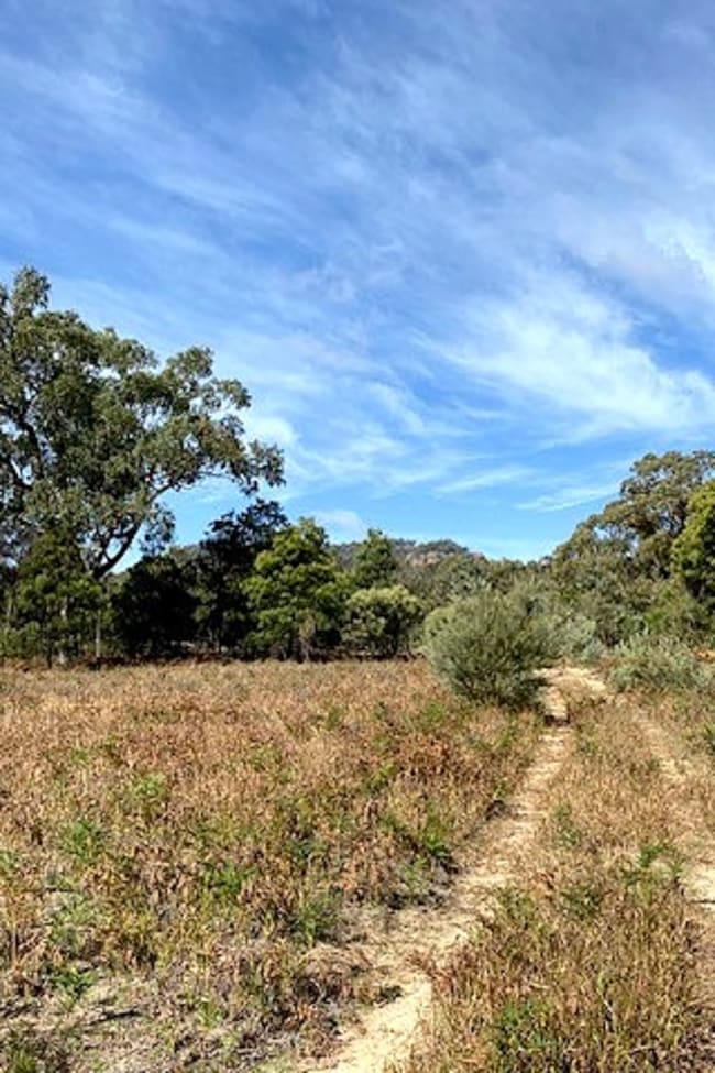150 Reedy Creek Road Rylstone NSW 2849