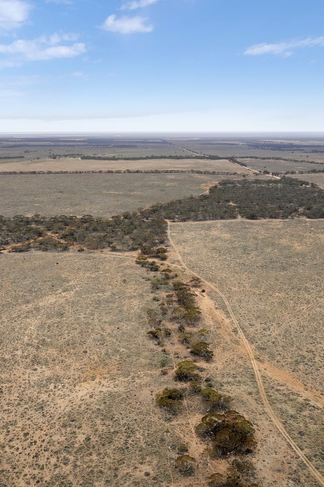 'Wallace' Foote Road Brownlow SA 5374