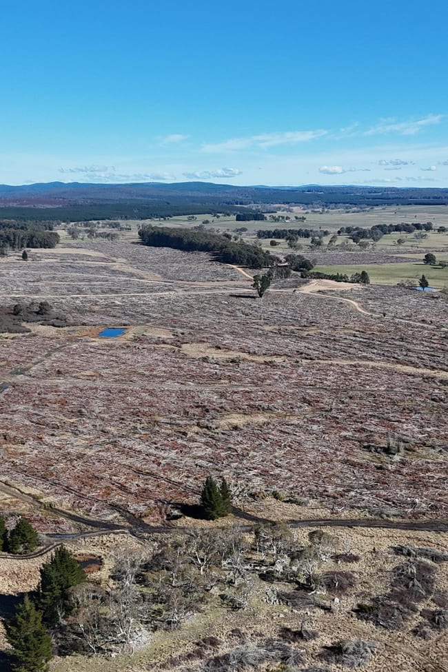 Paddy's Flat Monaro Highway Bombala NSW 2632