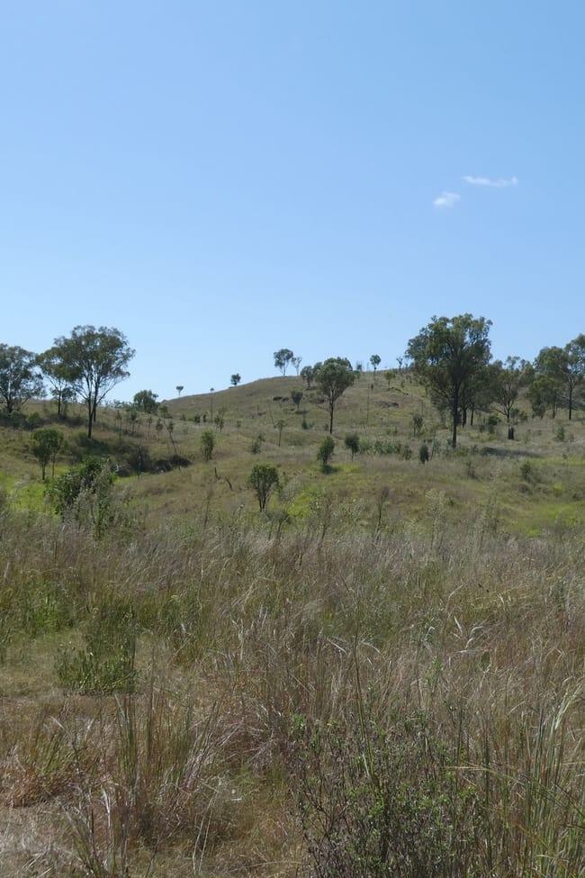 Lot 14 Monto Mount Perry Road Mungy QLD 4671