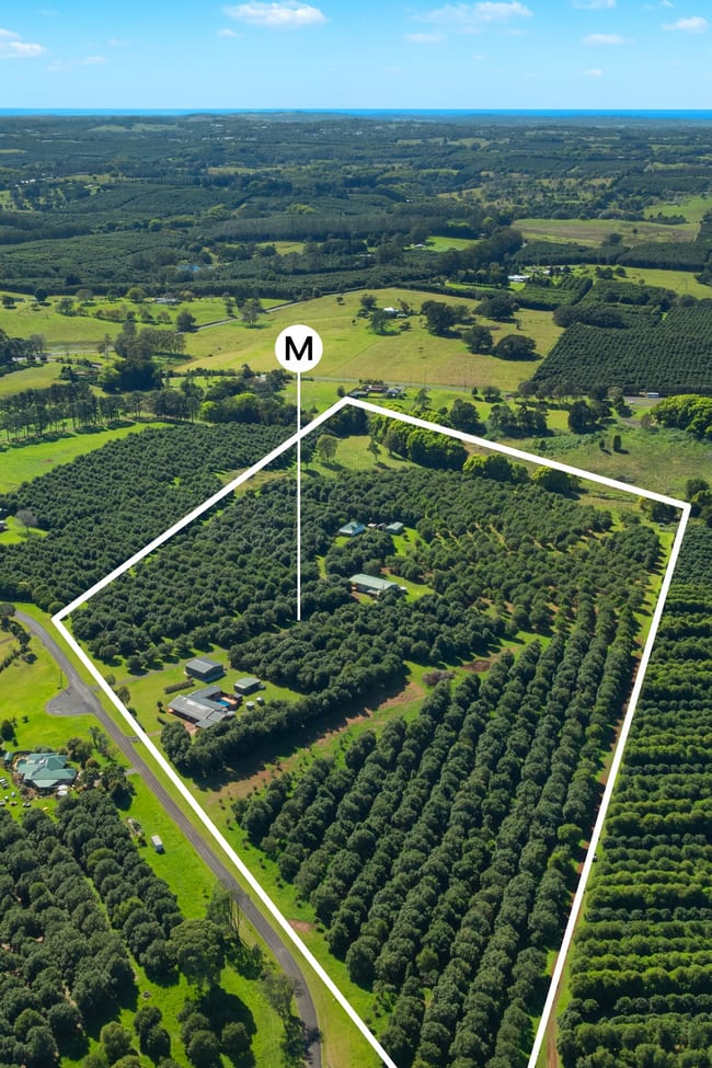 68 Connor Road Tregeagle NSW 2480