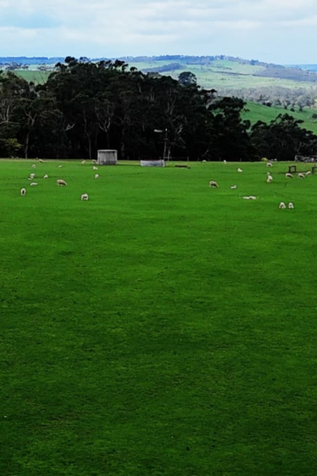 Doreys Road Scotts Creek VIC 3267