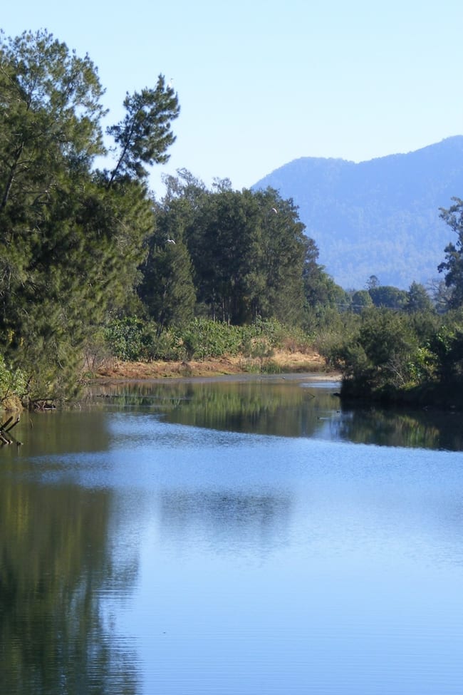 1041 South Arm Rd Bellingen NSW 2454
