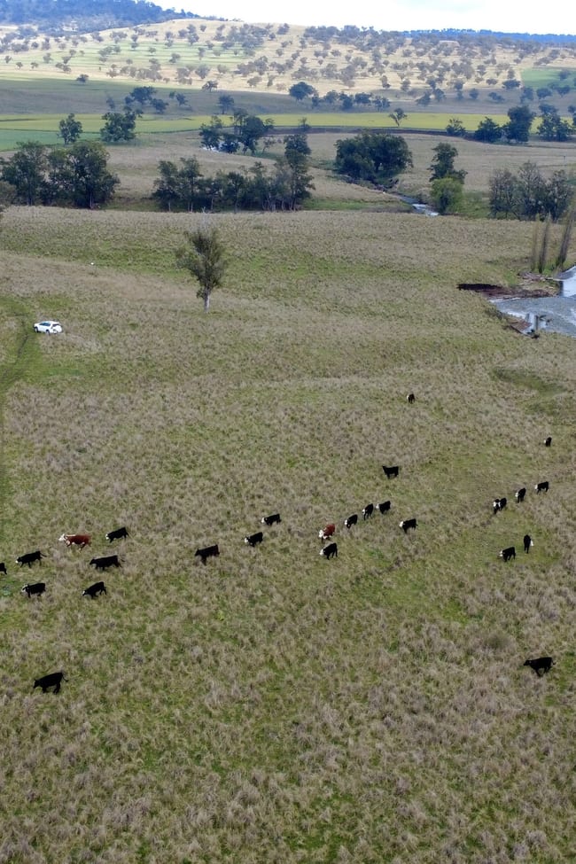 955 "Wirringulla" Coulsons Creek Road Merriwa NSW 2329