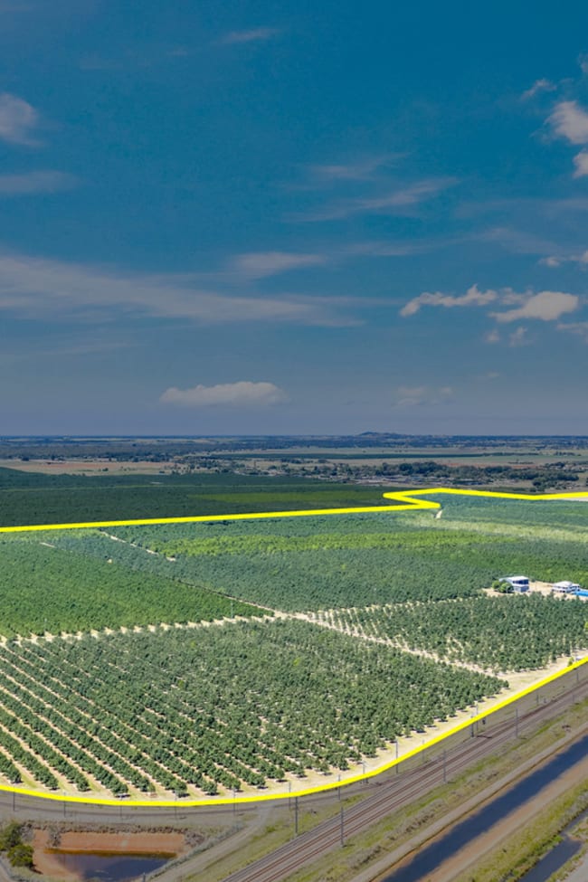 Meadowvale QLD 4670