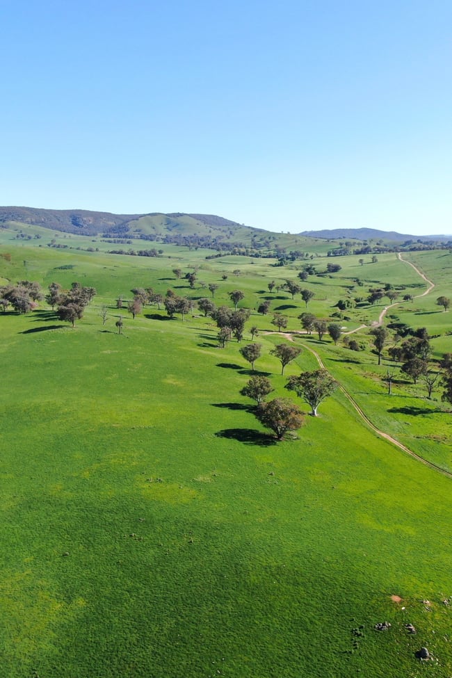Holbrook NSW 2644