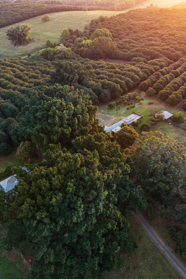 241 Alcorn Road Knockrow NSW 2479