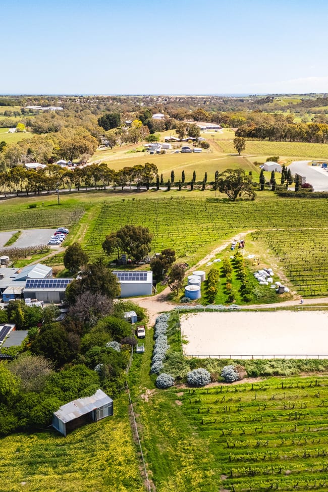 207 Sand Road Mclaren Flat SA 5171