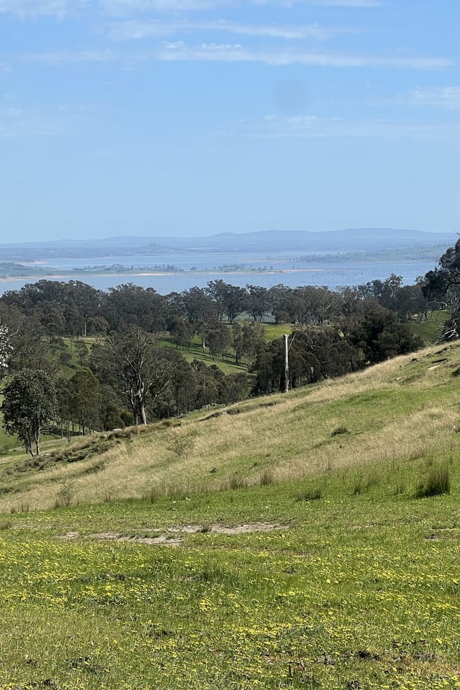 557 Georges Creek Road Talgarno VIC 3691