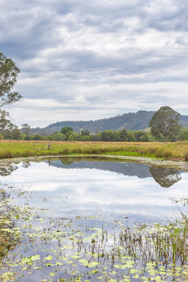 76 Stony Creek Road Kimbriki NSW 2429