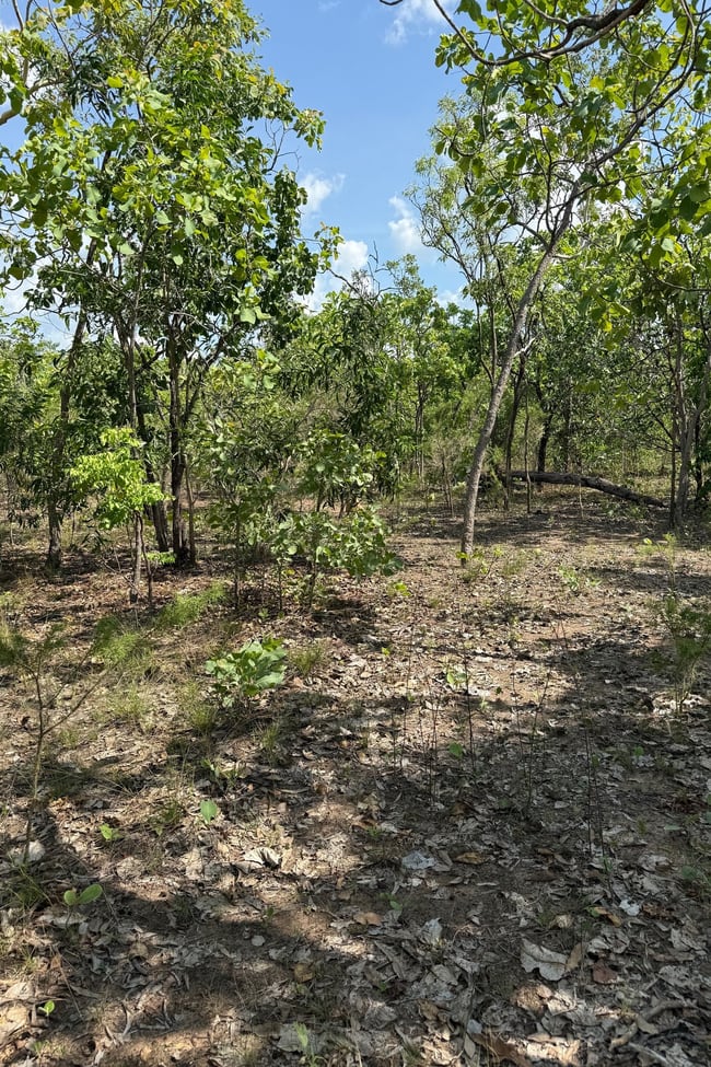 133 Stephen Road Marrakai NT 0822