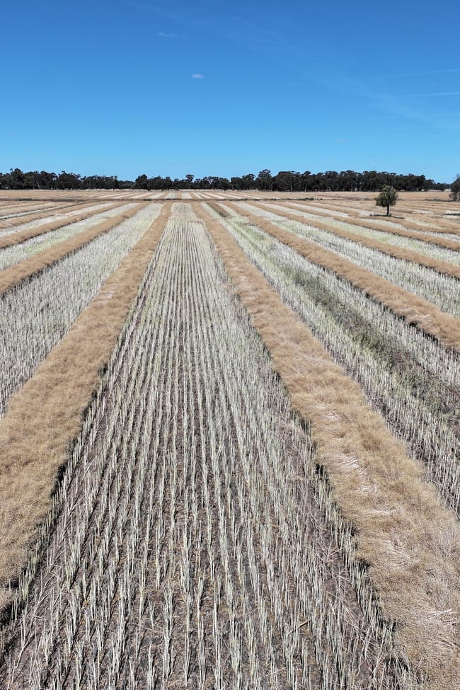 819 Mayrung Road Deniliquin NSW 2710