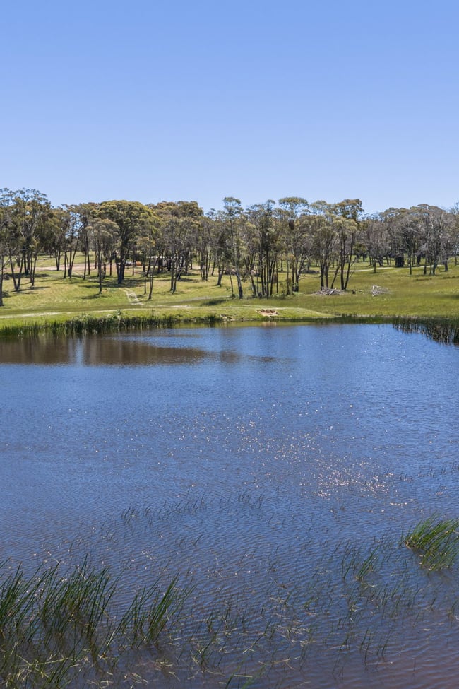 1969 Wombeyan Caves Rd Taralga NSW 2580