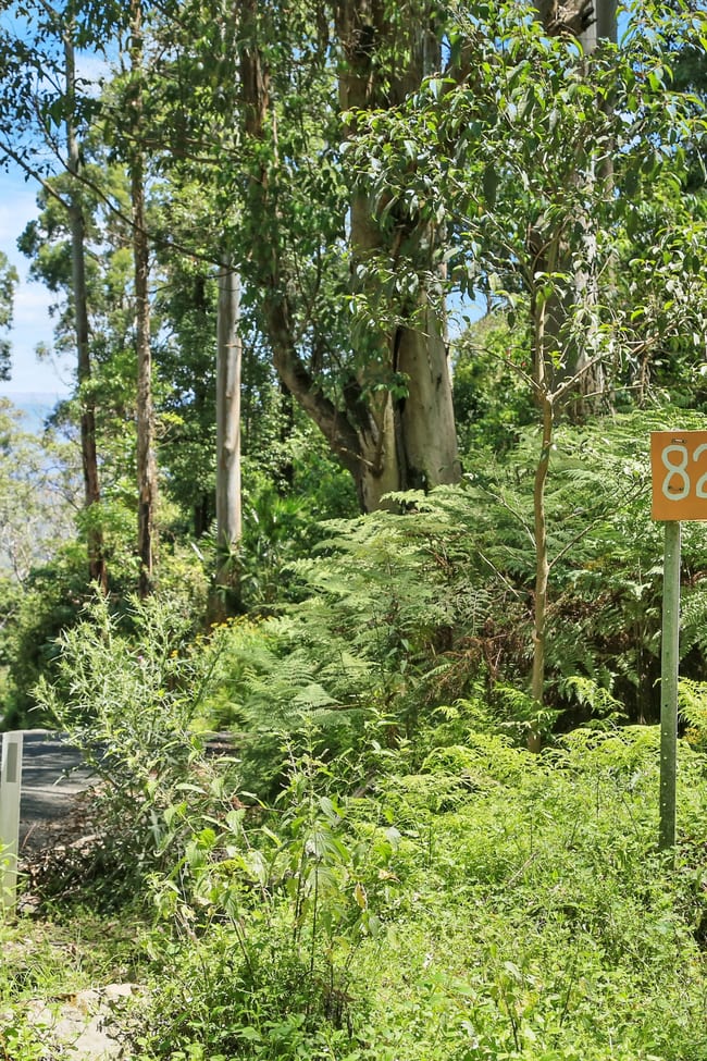 826 Mount Scanzi Road Kangaroo Valley NSW 2577