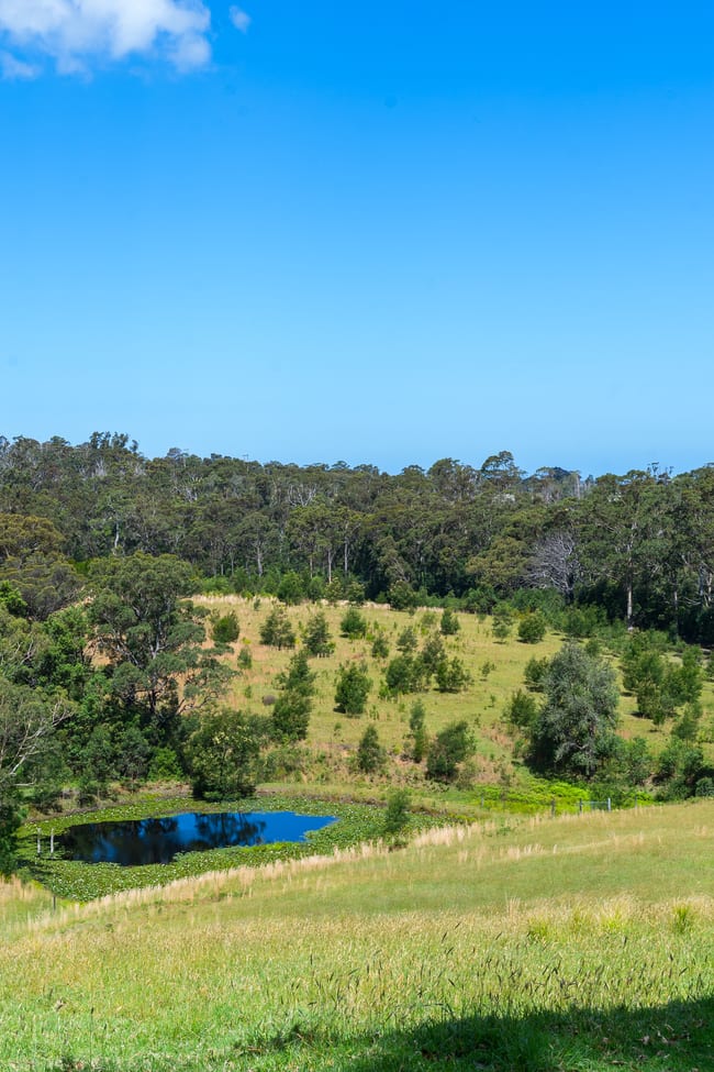 106C Porters Creek Road Yatte Yattah NSW 2539 106C Porters Creek Road Yatte Yattah NSW 2539