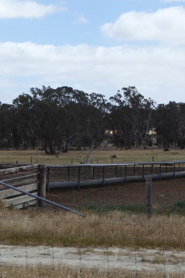 Lot 1 Walkington Hills Road Frances SA 5262