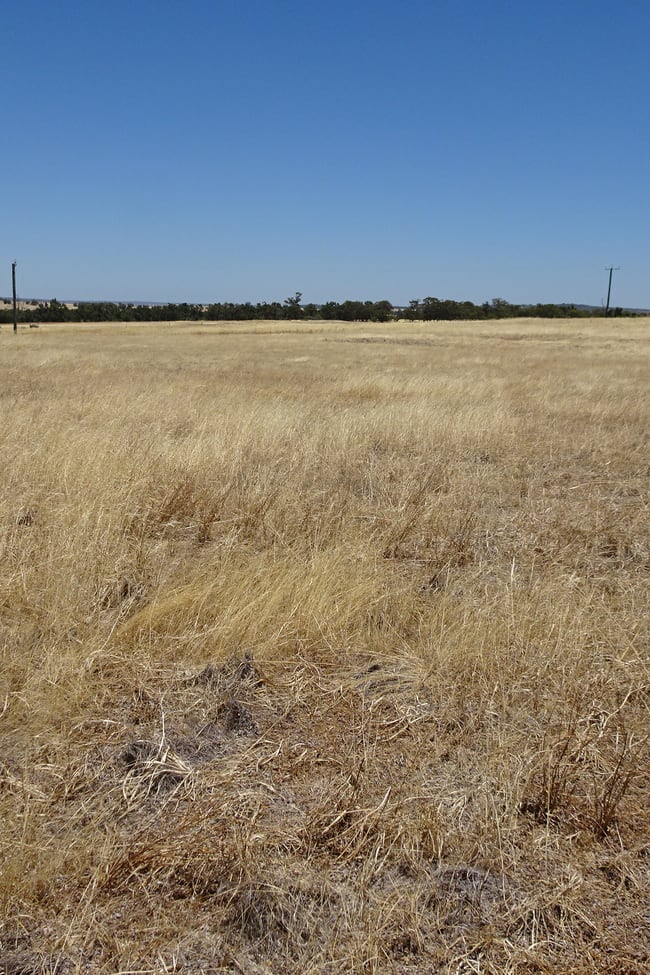 160 Chittleborough Road Brookton WA 6306