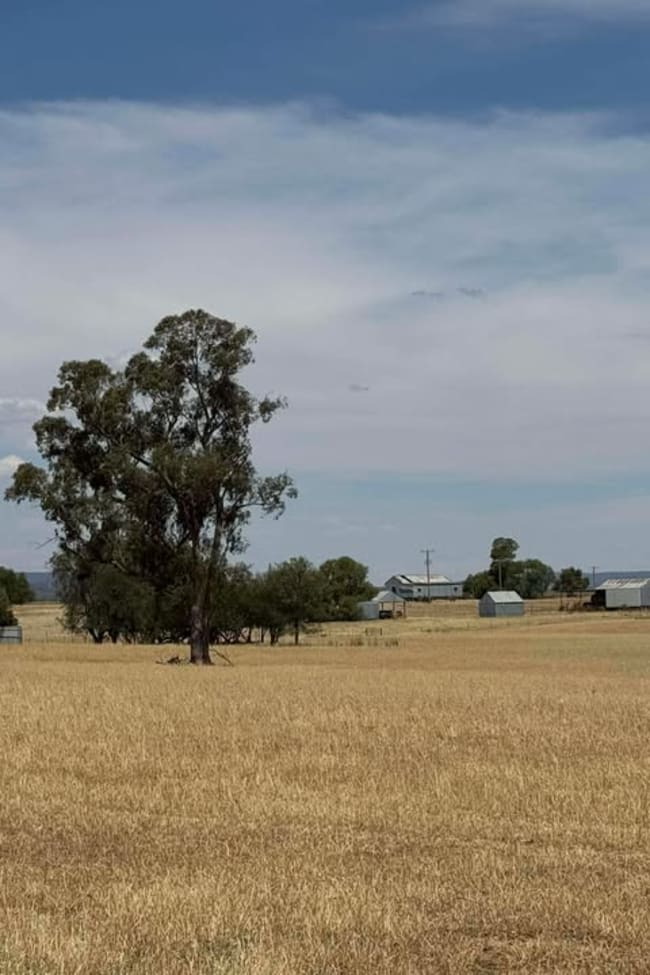 342 Olieview Road Parkes NSW 2870