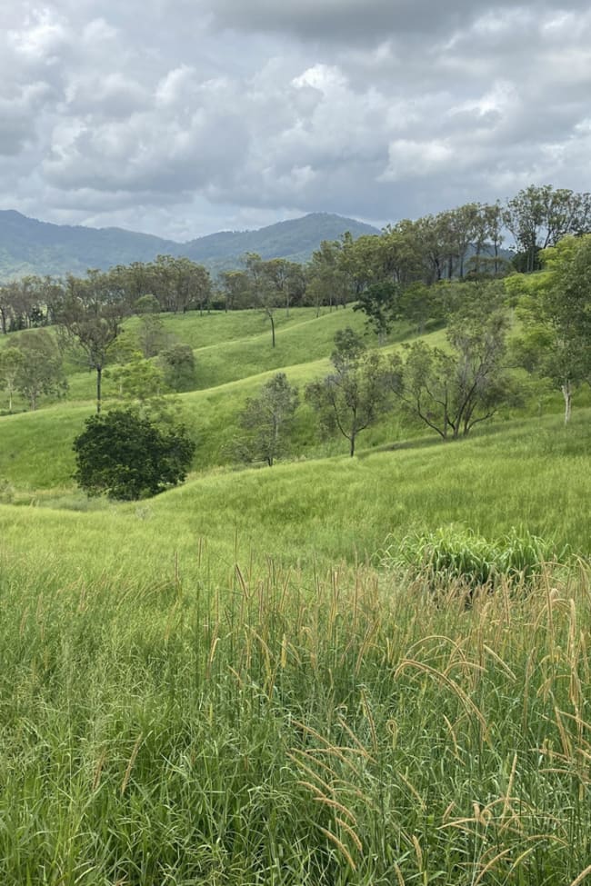 558 Marlborough-Sarina Road Sarina QLD 4737