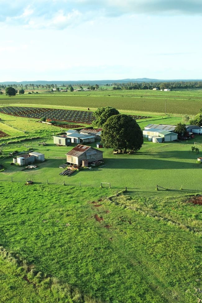 544 WATTLEGROVE ROAD Benair QLD 4610
