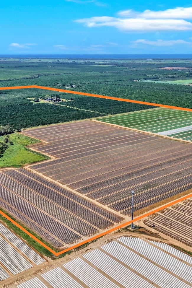 195 Pashleys Road Welcome Creek QLD 4670