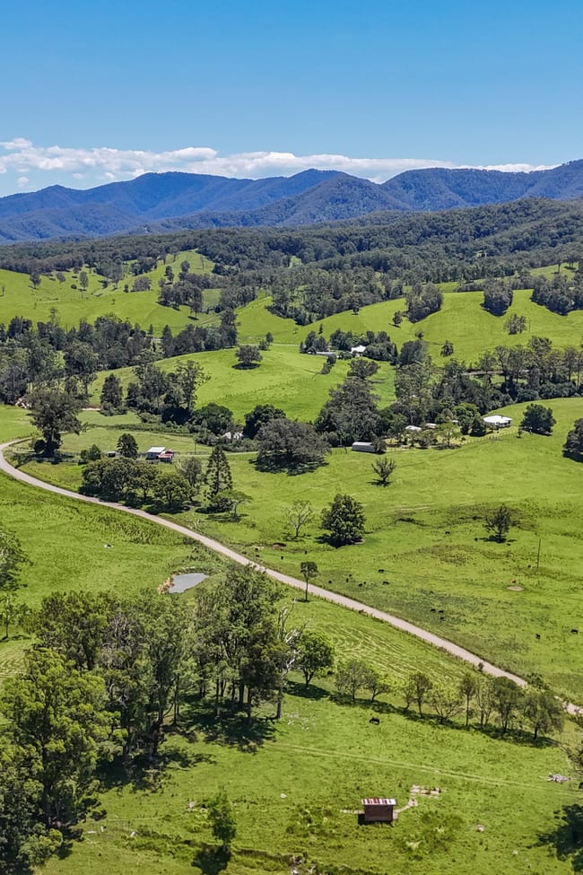 55 Argues Rd Upper Taylors Arm NSW 2447