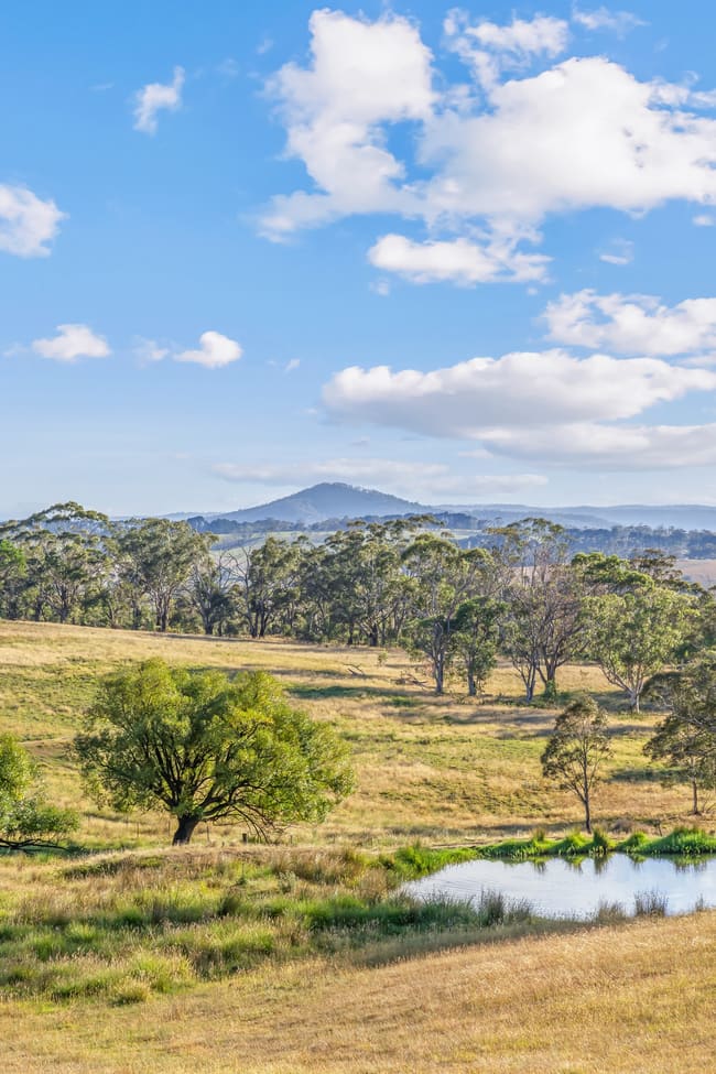 760 Jerrys Meadow Road Sodwalls NSW 2790