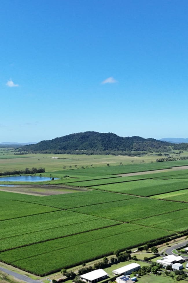 132 Stayts Road Marian QLD 4753