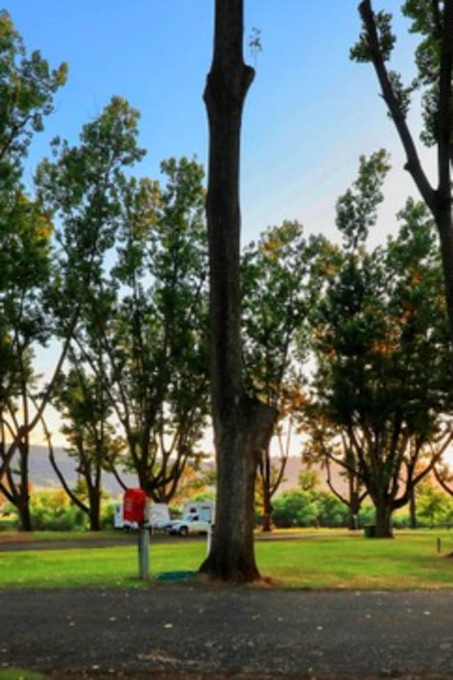 110 River Road Walwa VIC 3709