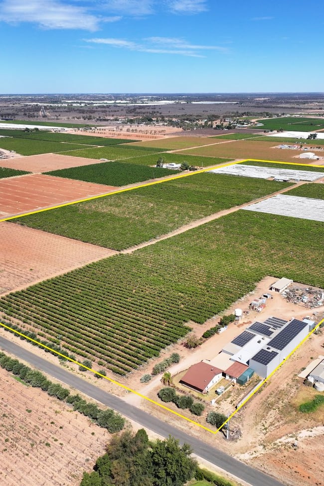 237 Seventh Street & 174 Cowanna Avenue Merbein South VIC 3505