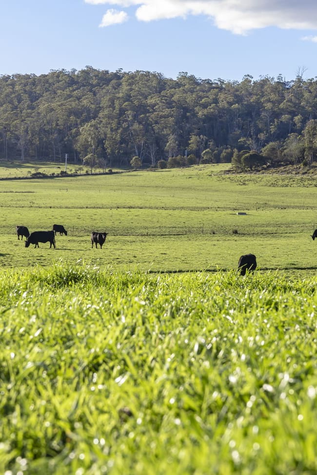 290 Batman Highway Sidmouth TAS 7270
