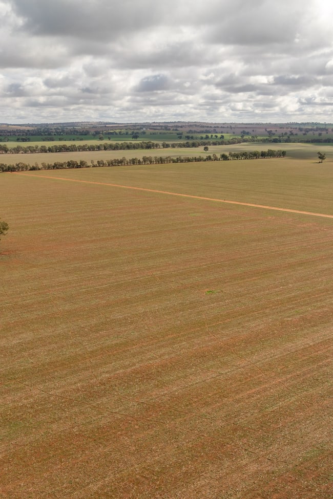Old Junee NSW 2652