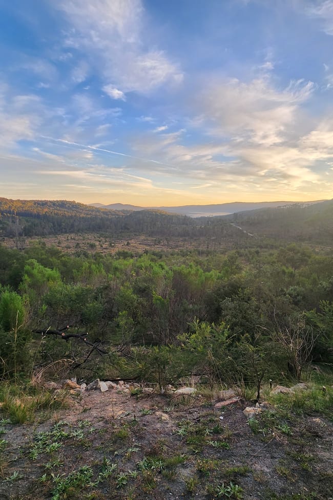 452 Ribbon Gum Road Braidwood NSW 2622
