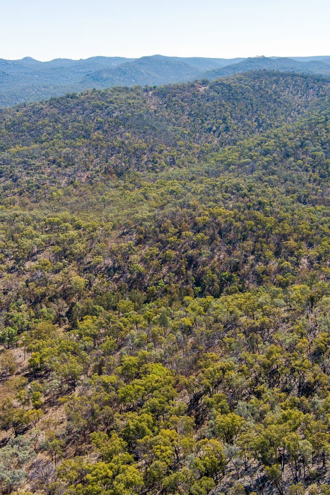 78, 4108 Tent Hill Road Emmaville NSW 2371