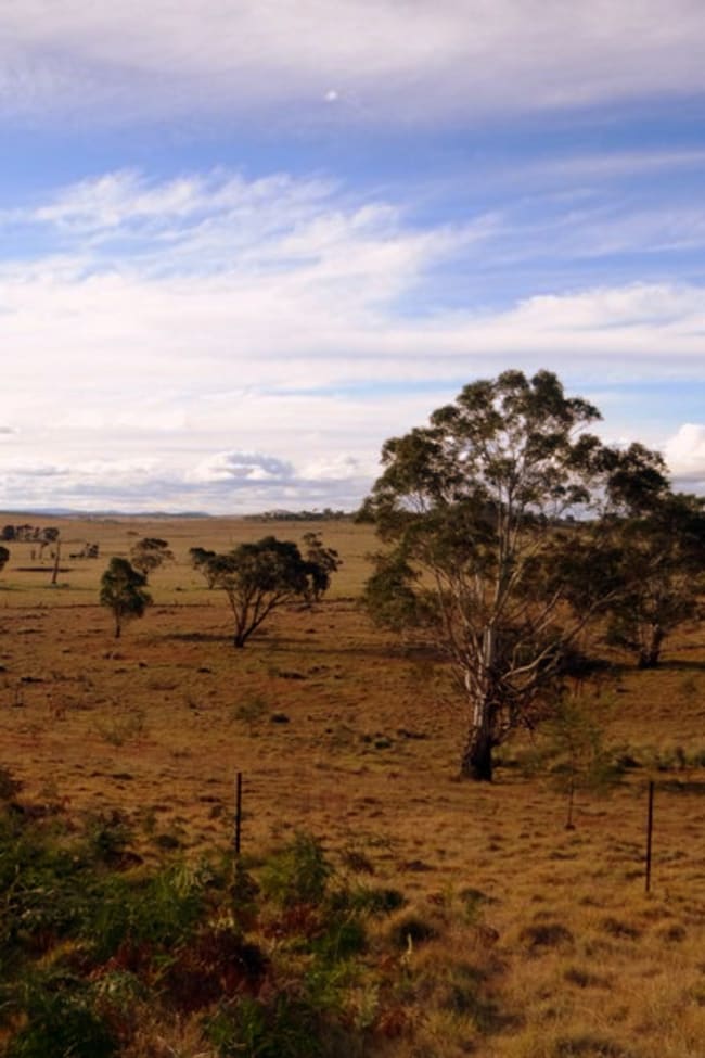 86 Grey Gums Rd Majors Creek NSW 2622