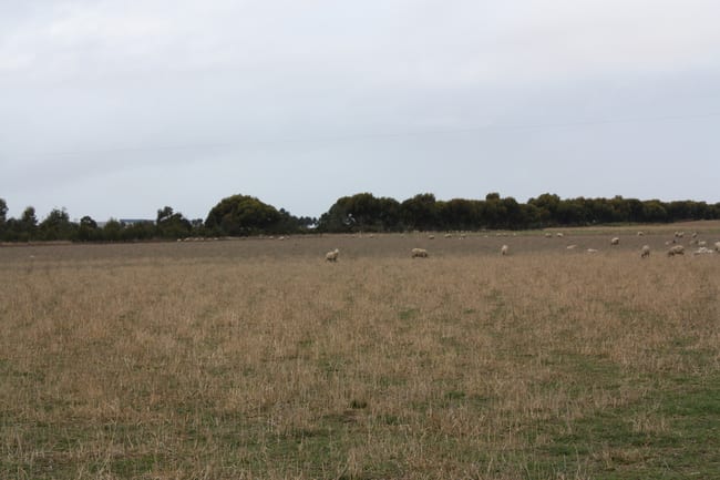 415 South Barunah Road Wingeel VIC 3321 415 South Barunah Road Wingeel VIC 3321