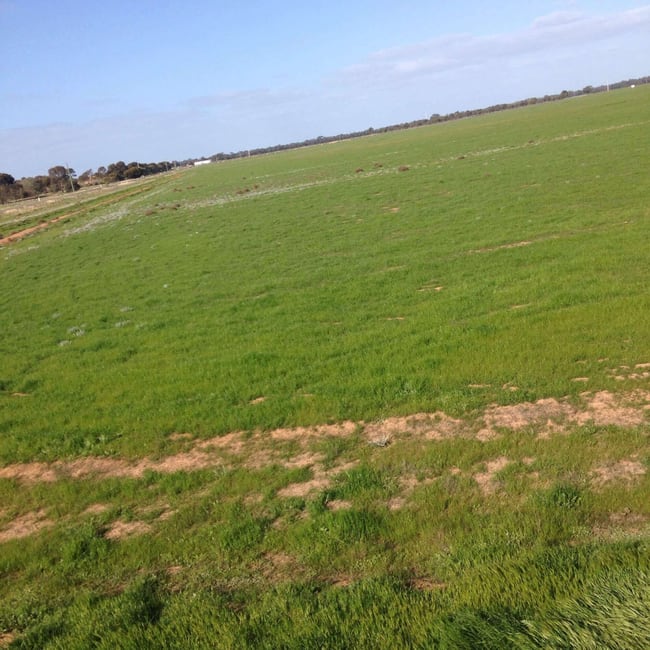 Lot 590 Hillside Road Moama NSW 2731 Lot 590 Hillside Road Moama NSW 2731