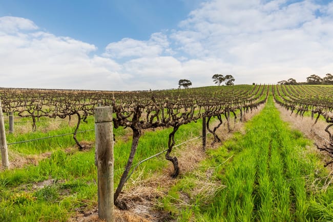 211 Kays Road Blewitt Springs SA 5171 211 Kays Road Blewitt Springs SA 5171