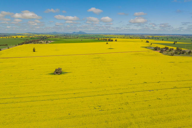 187 Smiths Road Collingullie NSW 2650