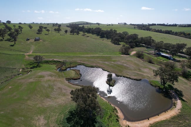 Yarra, Hughstonia Road Binalong NSW 2584