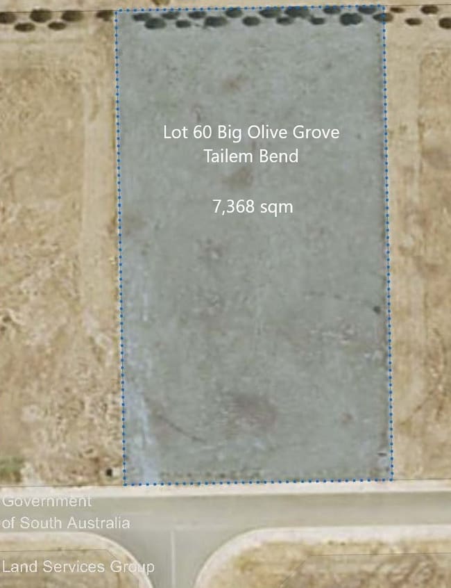 Lot 60 Big Olive Grove Tailem Bend SA 5260 Lot 60 Big Olive Grove Tailem Bend SA 5260