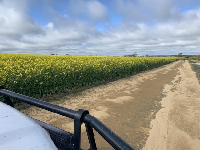 16111 Goldfields Road Merredin WA 6415 16111 Goldfields Road Merredin WA 6415