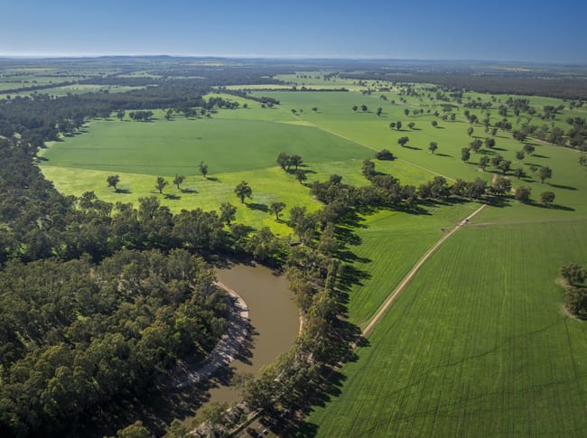 3688 Sturt Highway Collingullie NSW 2650 3688 Sturt Highway Collingullie NSW 2650