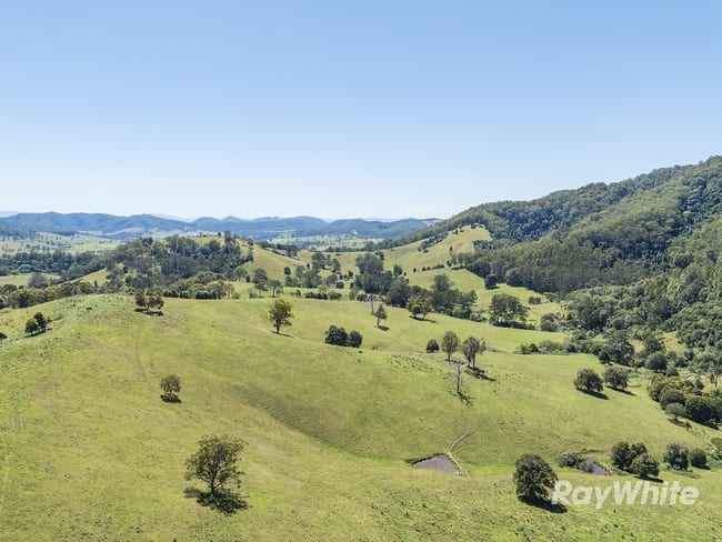 1989 Waukivory Road, Waukivory via Gloucester NSW 2422 1989 Waukivory Road, Waukivory via Gloucester NSW 2422