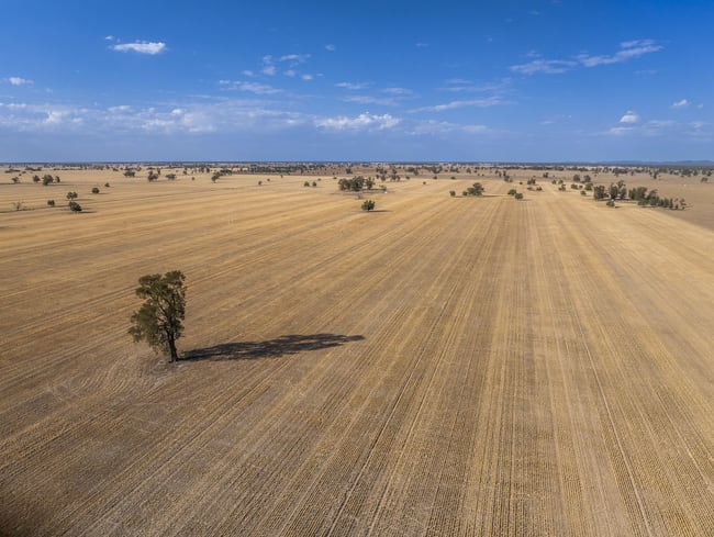 279 West Plains Road Corinella NSW 2871